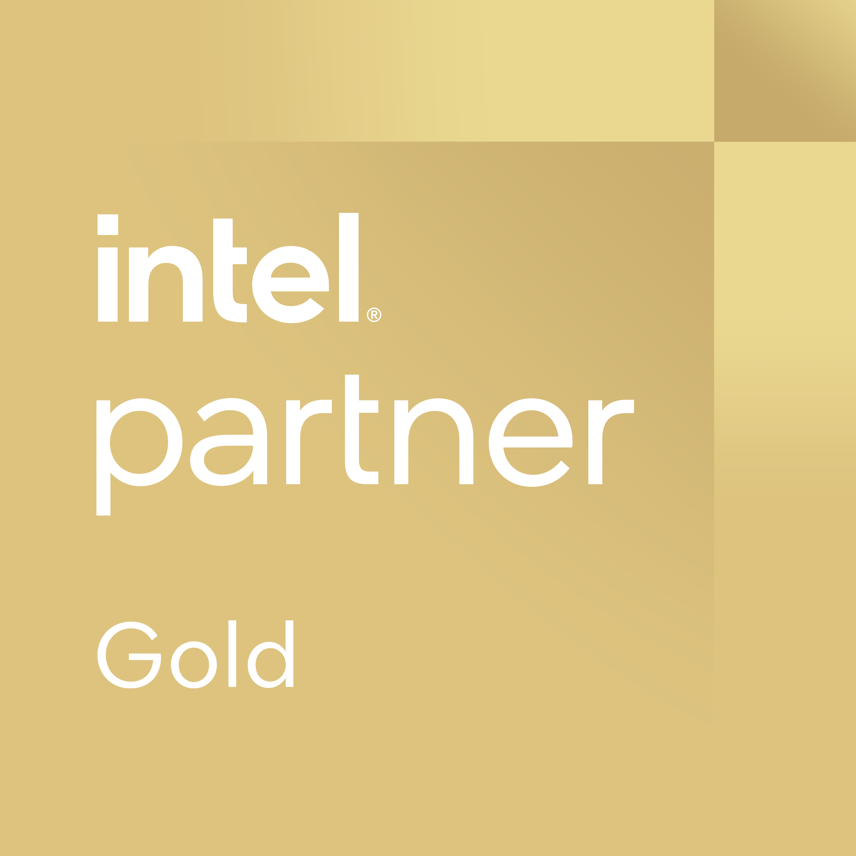 Intel Gold Partner Badge